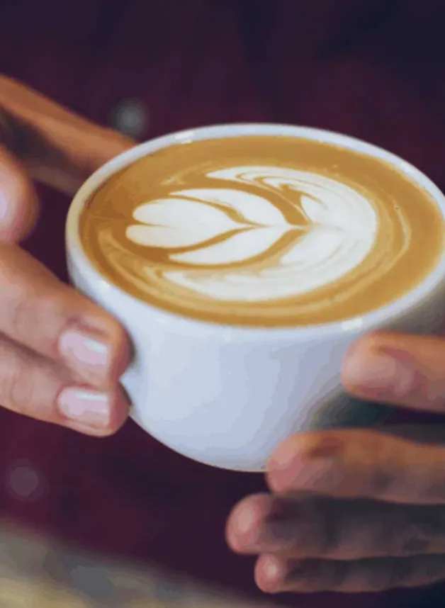 Aerolatte Mjölkskummare – Satin edition – Eddington