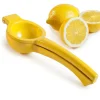 Citron Squeezer- Ibili