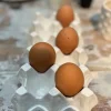 Ägghållare till förvaring av 10 ägg
