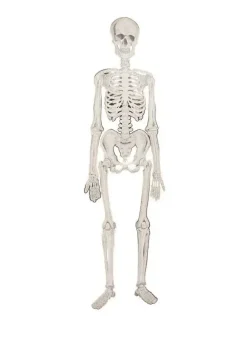 Hängande Skelett 135 cm – Halloween Dekoration