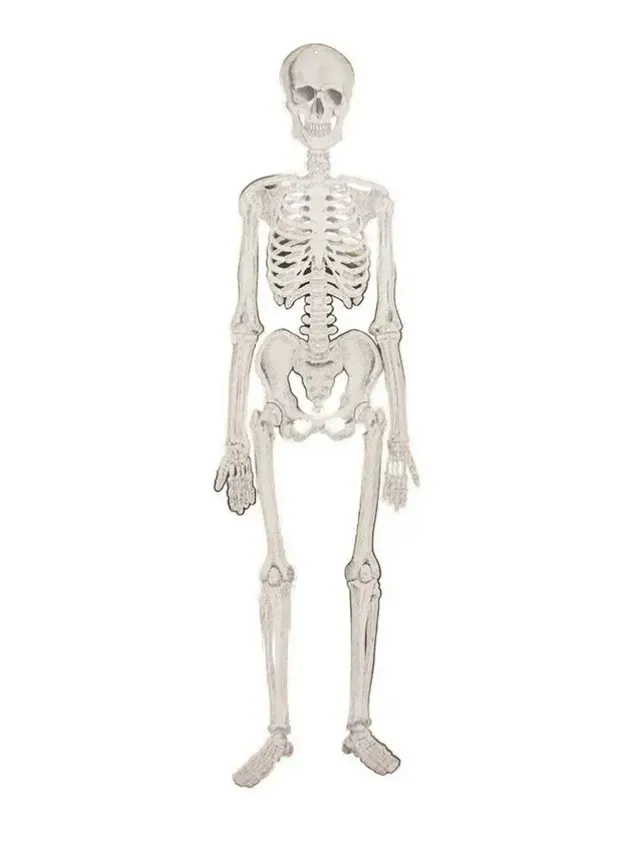Hängande Skelett 135 cm – Halloween Dekoration