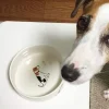 Hundskål med Jack Russel – 19 cm i porslin