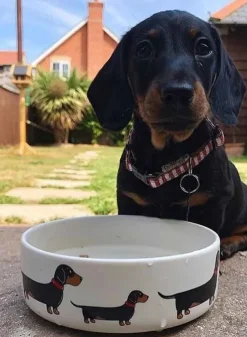 Hundskål med motiv av svarta taxar -19 cm i porslin