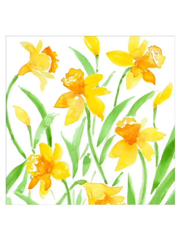 Pappersservett Dinner 40×40 cm – Påskliljor Spring Herald – Caspari