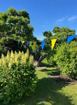 STORA VIMPLAR – Flaggspel med blå och gula vimplar höjd 54 cm – 10 meter